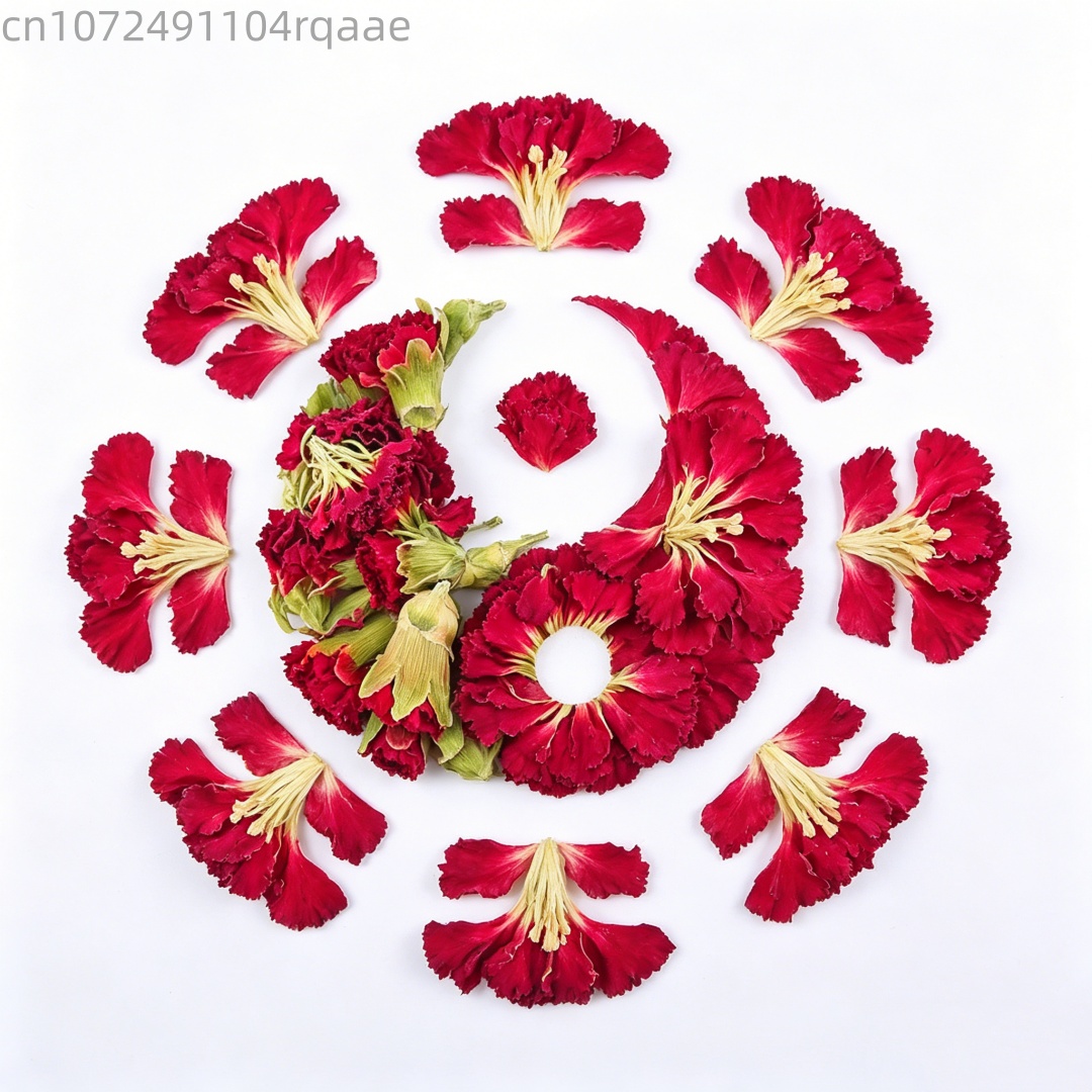 Potpourri Dried Flower - High-quality Natural Carnation Dried Flower Carnation