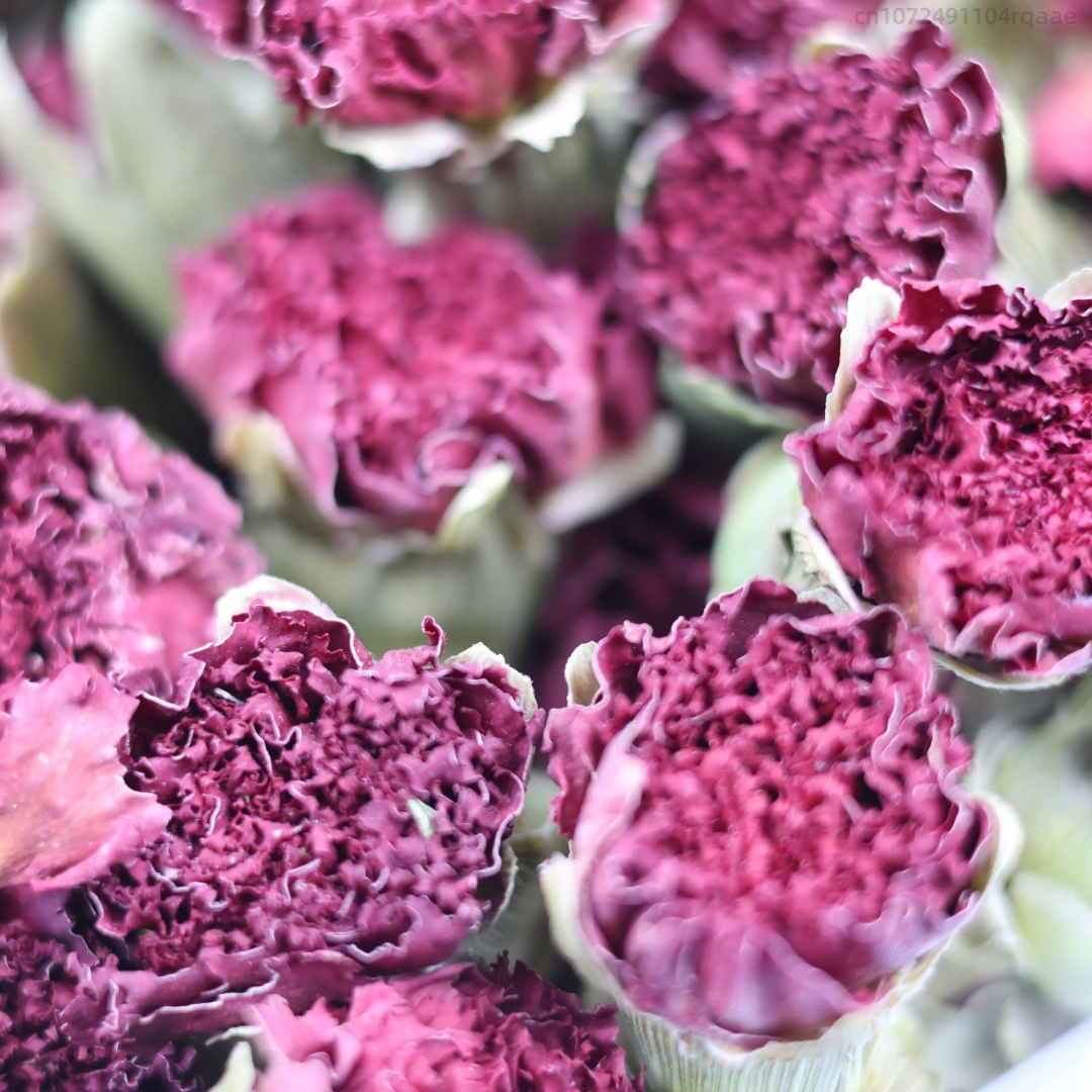250g/500g Premium Natural Carn - đánh giá và giá Potpourri Dried Flower