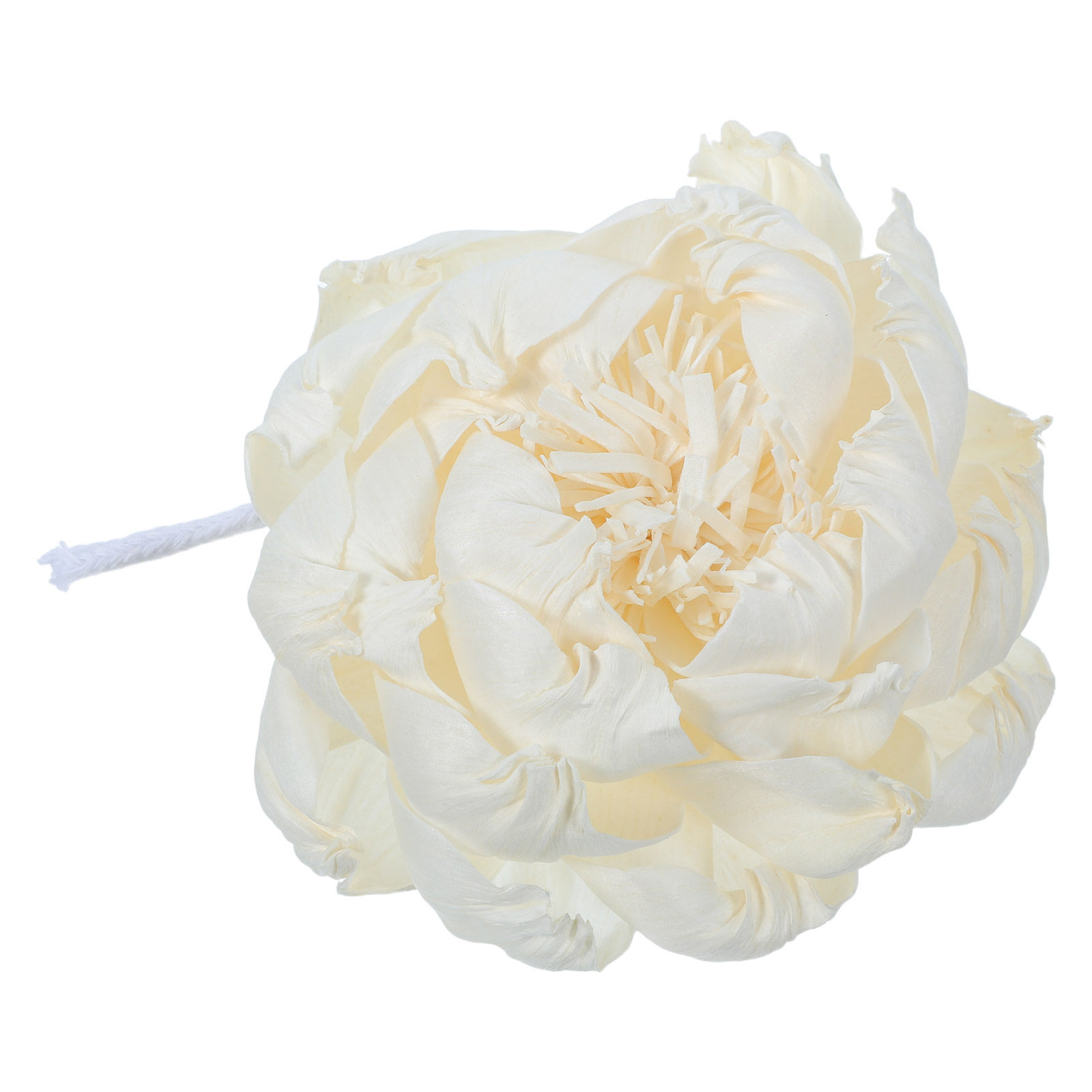Peony Head Fragrance Diffuser  - đánh giá và giá Home Fragrance With Essential Oils