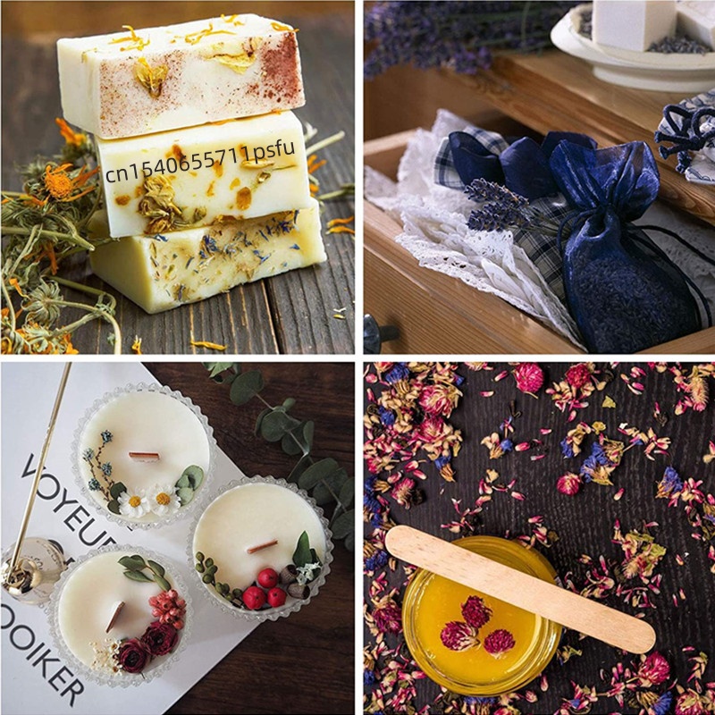 High-quality Natural Carnation - đánh giá và giá Potpourri Dried Flower