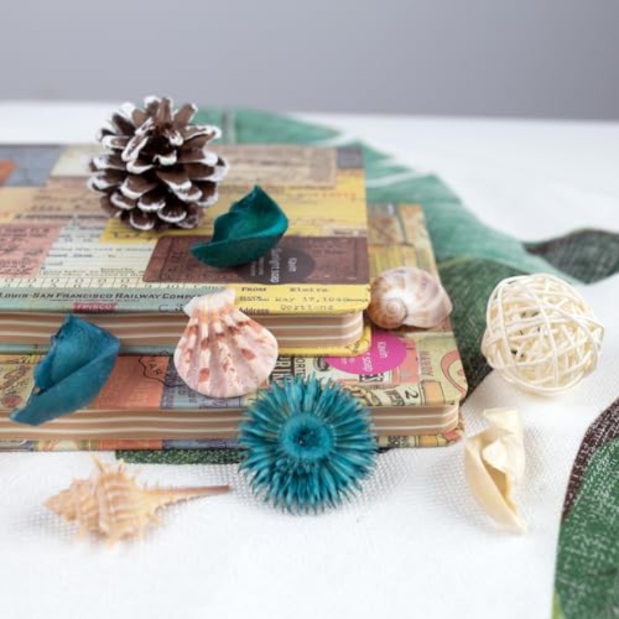 Sea Shell Potpourri Bag, Ocean - đánh giá và giá Potpourri Dried Flower