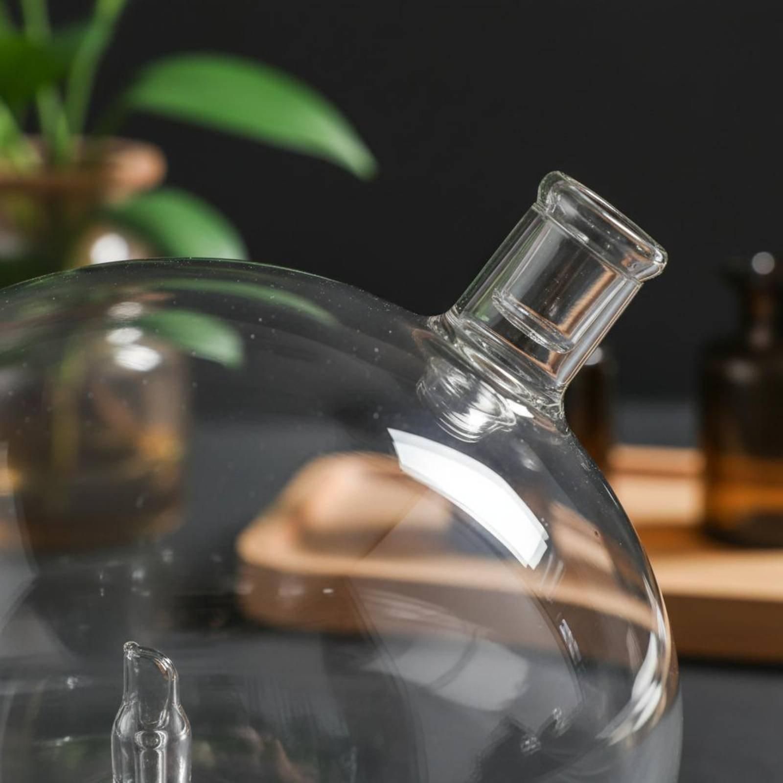 Diffuser Bottle Universal Fit  - đánh giá và giá Home Fragrance Bottle