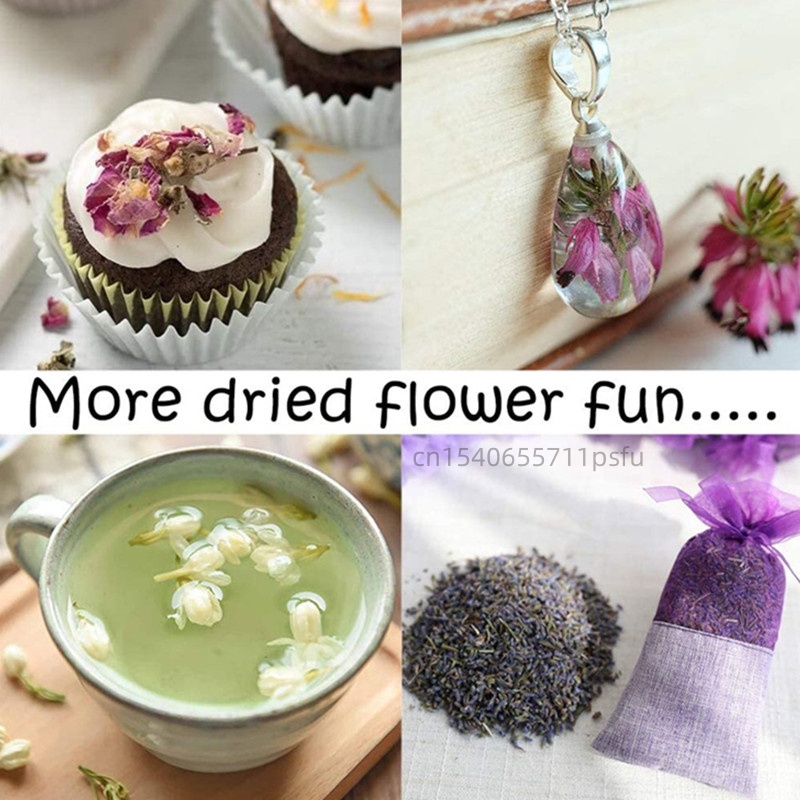 High-quality Natural Jasmine D - đánh giá và giá Potpourri Dried Flower
